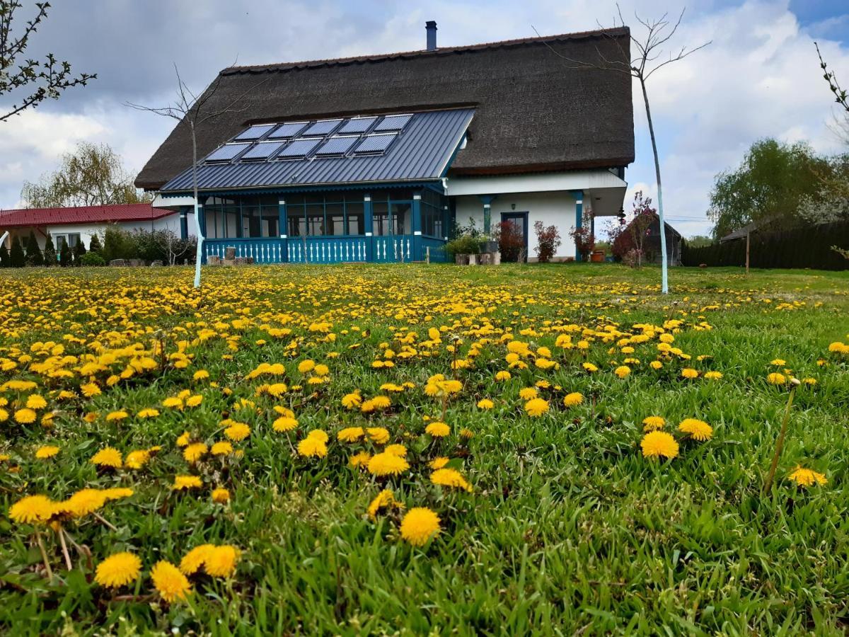 Agropensiunea Beluga Gorgova Buitenkant foto