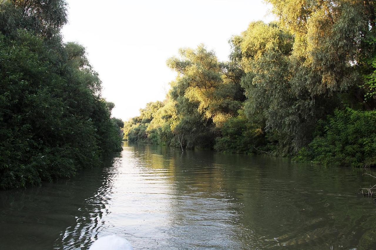Agropensiunea Beluga Gorgova Buitenkant foto