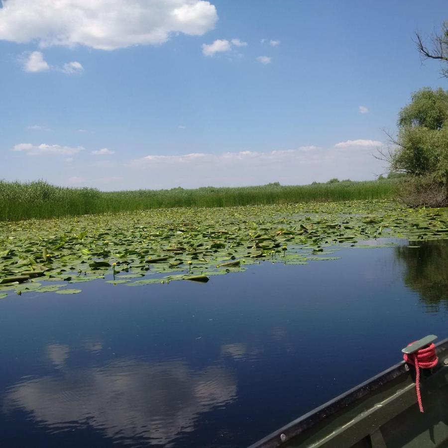 Agropensiunea Beluga Gorgova Buitenkant foto